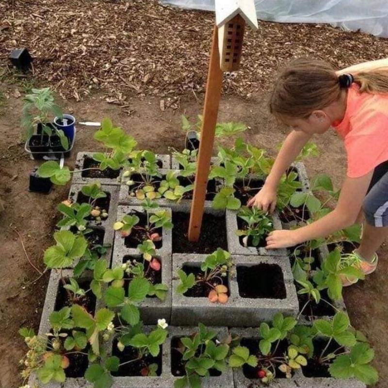 Summer Breeze Molding Plastic Cinder Blocks for Yards Gardening Concrete Hollow Brick Molds DIY Cement Geo Flower Pot Mouldings