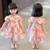 Girls' Dresses, Girls' Small and Medium-sized Children, Girls' Babies' Floral Casual Princess Dresses