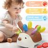 Обучающая игрушка Игрушки для развития мелкой моторики у малышей 1-3 лет Ёжик Обучение счету и сортировке Развитие сенсорных подарков