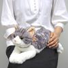 Солнечный Лимон Кот на Коленях Сабасиро Средний 16 x 47 x 18см Плюшевое Животное Милый Кот P-7792