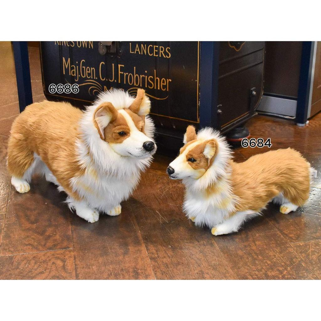 BH6686 HANSA Вельш-корги 50