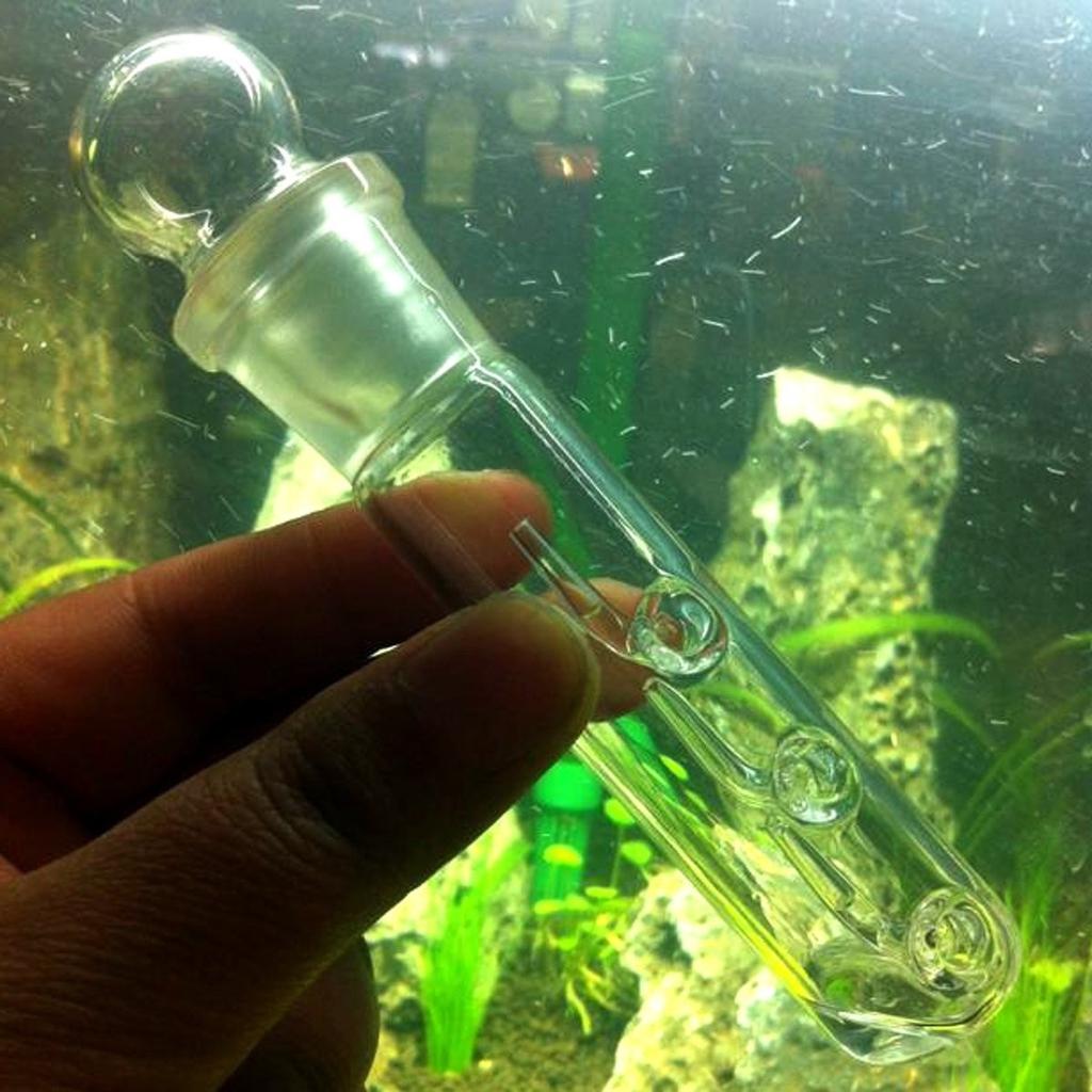 Планарийные ловушки Аквариум VIV Pest Catch Pen Креветки Пиявки Планнарии Растительная ловушка Ловец червей