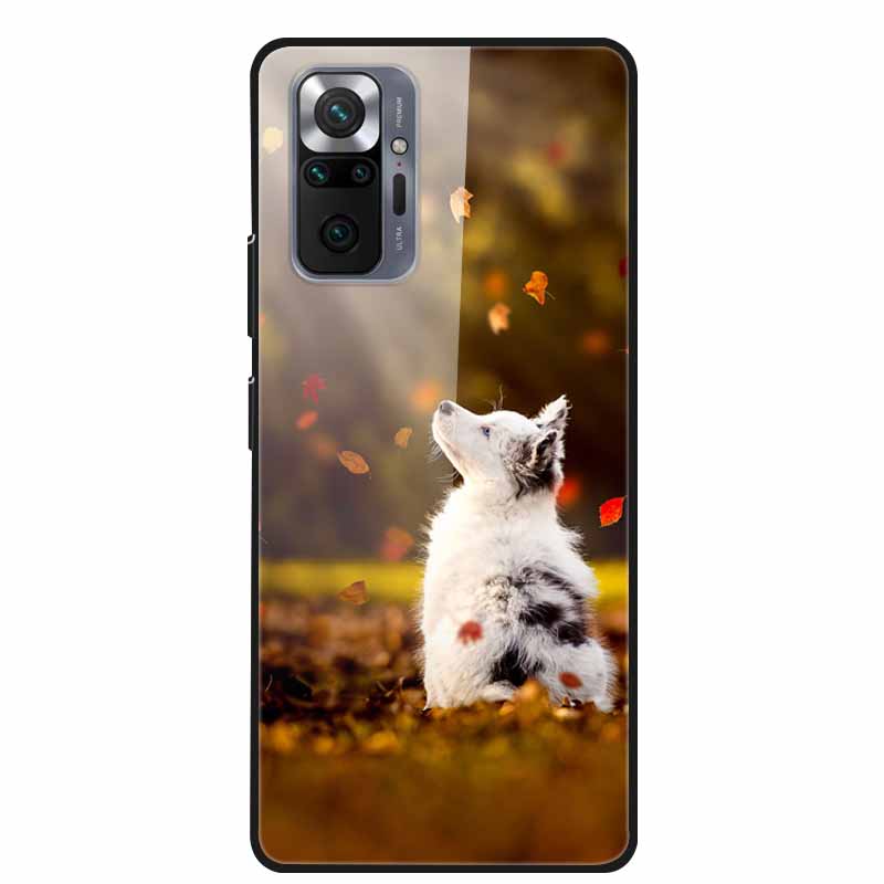 Цветная закаленная стеклянная крышка для чехла Xiaomi Redmi Note 10 Pro, жесткий противоударный Funda для чехлов Redmi Note10 / Note 10Pro, корпус