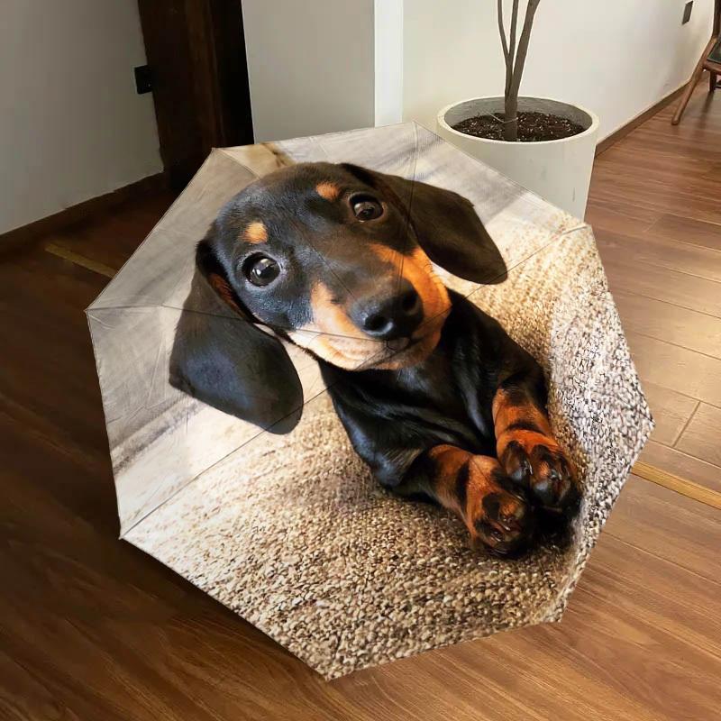 1pc Dachshund Paws Umbrella with Plastic Handle,Suitable for All Seasons Home Travel Outdoor UmbrellaDD1755