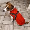 Водонепроницаемая одежда для собак, зимняя теплая одежда для маленьких и средних собак, светоотражающее пальто для щенков, куртка с регулируемой шлейкой, одежда для чихуахуа