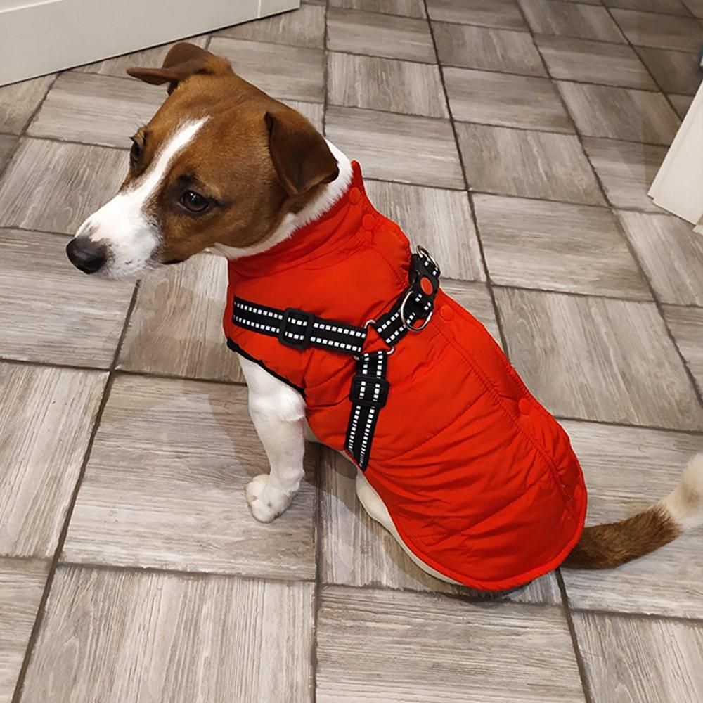 Водонепроницаемая одежда для собак, зимняя теплая одежда для маленьких и средних собак, светоотражающее пальто для щенков, куртка с регулируемой шлейкой, одежда для чихуахуа