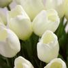 Artificial Flowers Tulips Bouquet Party Home Wedding Fake Bridal Silk Fresh-look Accessory