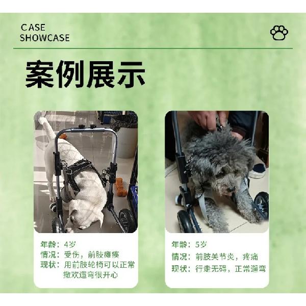 Pet Forelimb Support Wheelchair, Small Dog and Cat Specific Four-wheel Rehabilitation Walking Device