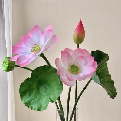 Реалистичный Лотос и Лист со Стеблем - Искусственная Композиция из Кувшинок для Украшения Гостиной