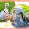 New Adjustable Poultry Diaper Reusable Bow Tie Duck Supplies Breathable Comfortable Duck Accessories Poultry Care