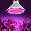 48/60/80/200LED 24W E27 Plant Grow Light Bulb Full Spectrum Indoor Flower Seeds Grow Lamp