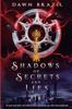 The Shadows of Secrets and Lies : Young Adult Dystopian Thriller : 1 Book