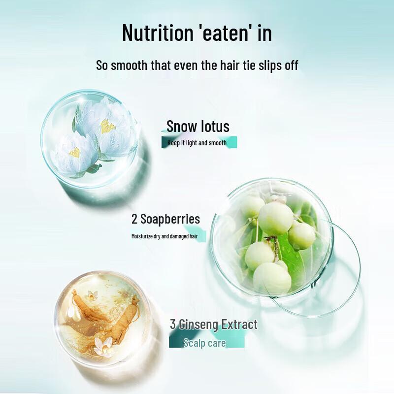 Seeyoung Amino Acid Soapberry Clarifying Shampoo