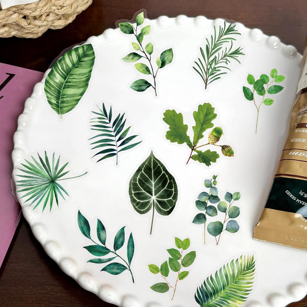 50Pcs Transparent Green Plants Stickers for DIY Waterproof Scrapbook Stationery Travel Luggage Water Bottle Phone Laptop