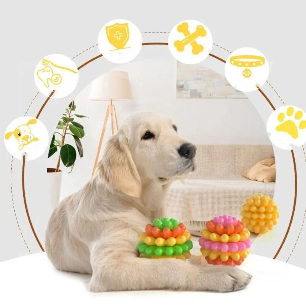Colorful Dog Elastic Ball Toy Bite Resistant TPR Interactive Dog Toy Interactive Play