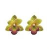 Korean Style Large Flower Earrings Butterfly Orchid Bohemian Dangle Earring  Decoration