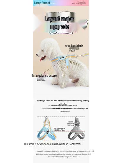 Дышащая шлейка с цветными блоками и поводок для маленьких/средних собак - Тедди, Сиба-ину