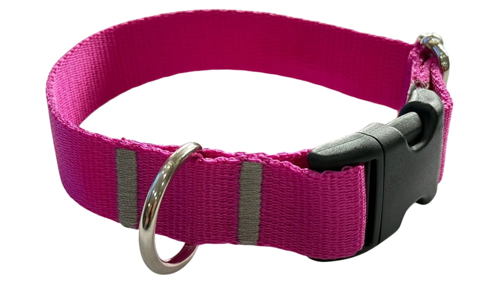 Dog Collar 2 cm with buckle Adjustable Fuchsia Fasten Dog Collar 2 cm with buckle Adjustable Fuchsia Fasten S: 26-35cm