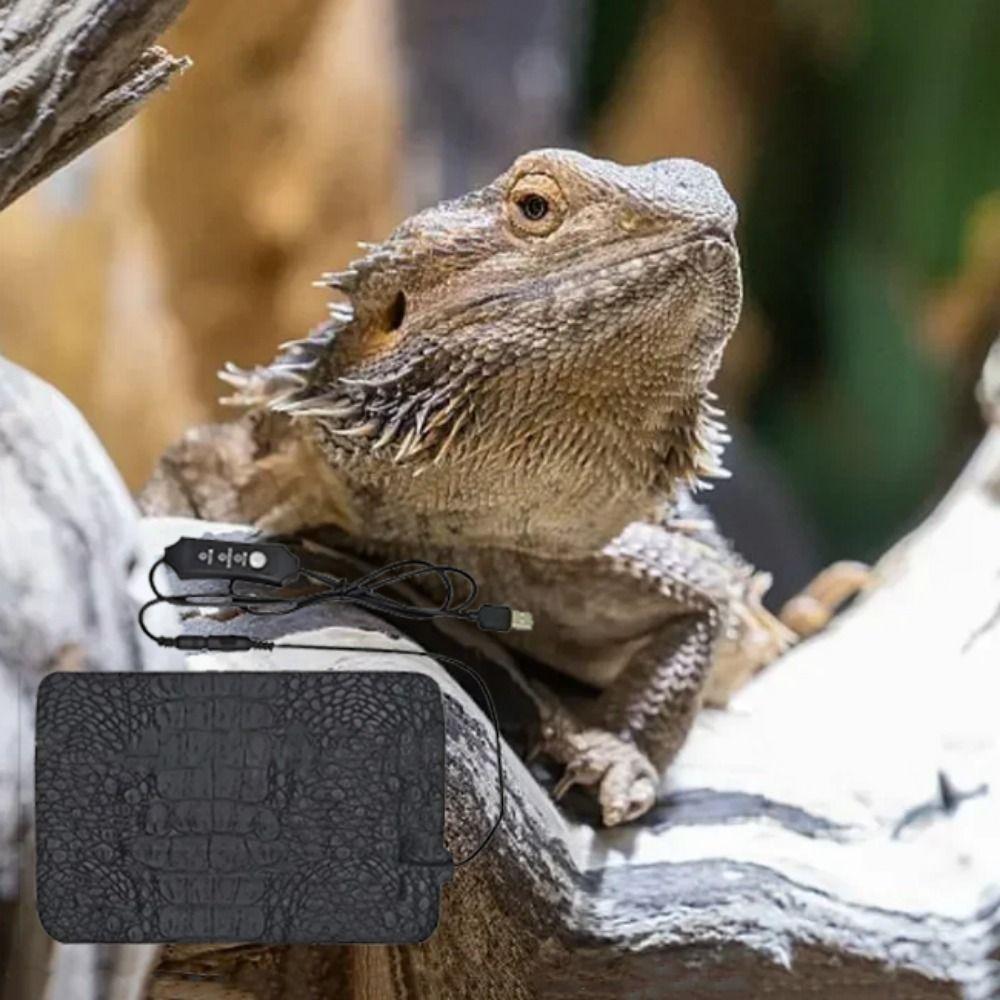 Водонепроницаемое электрическое одеяло для рептилий USB из искусственной кожи с подогревом для домашних животных, грелка для ящерицы, осень