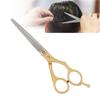 Профессиональные ножницы для стрижки волос, парикмахерские ножницы, семейный салон, плоский зуб, парикмахерский инструмент, золото