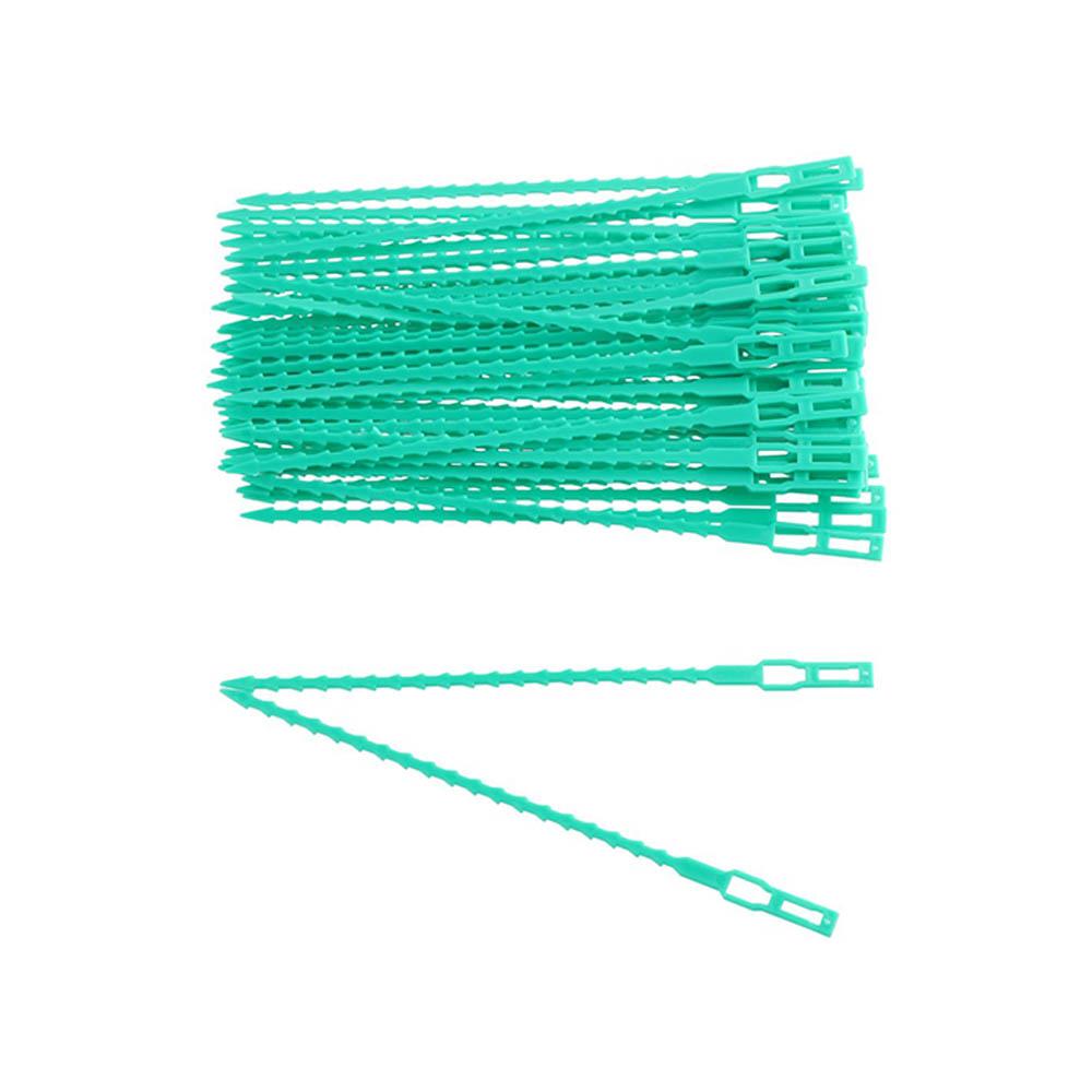 Сопротивление Рост Дерево Лента Пластиковые Садовые Принадлежности Кустарники Крепеж Кабельные Стяжки Поддержка Растений