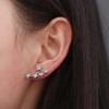 Elegant Sparkling Studs Light Luxury Zircon Earrings Women Star Crystal Earrings  Gifts