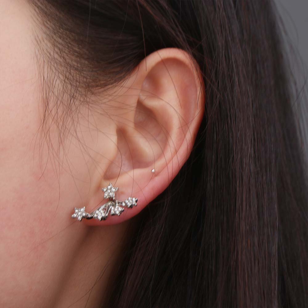 Elegant Sparkling Studs Light Luxury Zircon Earrings Women Star Crystal Earrings Gifts