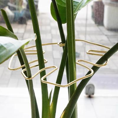 Yousheng 4Pcs Plant Pole Support Frame Надежная поддержка стебля растения Простые в использовании комнатные садовые инструменты для бонсай Monstera