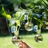 4pcs/set Self-Watering Plant Hydroponic Vase with Suction Cups Mini Flower Pot  Window