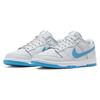 Nike Кроссовки Dunk Low Skateboard Мужские Сине-серые DV0831-001