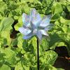 Reflective Bird Repellent Pinwheel Lightweight Bird Control Wind Spinner Garden Decoration Outdoor Windmill Ornament for Protecting Roof Orchard Yard