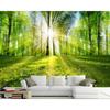 Natural Scenery Mural Landscape Sunlight Forest Wallpaper Tv Sofa Background Wall 3d Wallpaper