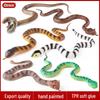 Soft Plastic Animal Snake Model: Black Mamba, Tiger Snake, Sea Snake, Viper, and Fragrant Snake Toy