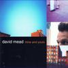 CD MEAD, DAVID - Mine and Yours  07863693272 RCA 2001 Япония Рок Б/У