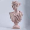 Pink Venus Bust Statue Resin Decor Living Room Home Decoration Gift Housewarming Friends Christmas