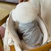 Теплые толстовки для собак Мягкая флисовая одежда для собак средних и маленьких пород Удобная одежда для щенков Костюмы для йоркширских чихуахуа Товары для животных