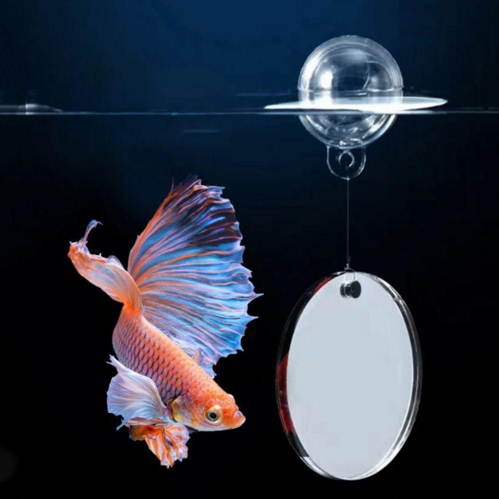 Круглое зеркало для аквариума Петушок Декоративное плавающее зеркало для аквариума Зеркало для игры рыб Игра
