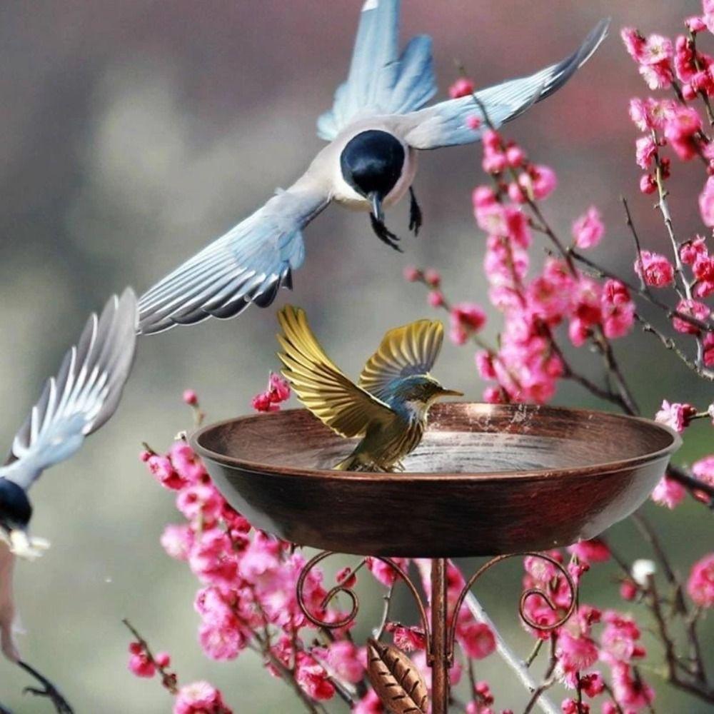 Прочная кормушка для птиц, втыкаемая в землю, железная кормушка для птиц, поилка для птиц, сад