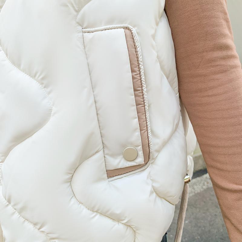 Женское осенне-зимнее пальто с воротником-стойкой, однотонное пальто без рукавов с большим карманом на молнии, свободный теплый хлопковый жилет