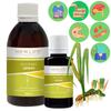 Calamus Root Extract Tincture Herbal Liquid Supplement Dietary New Life
