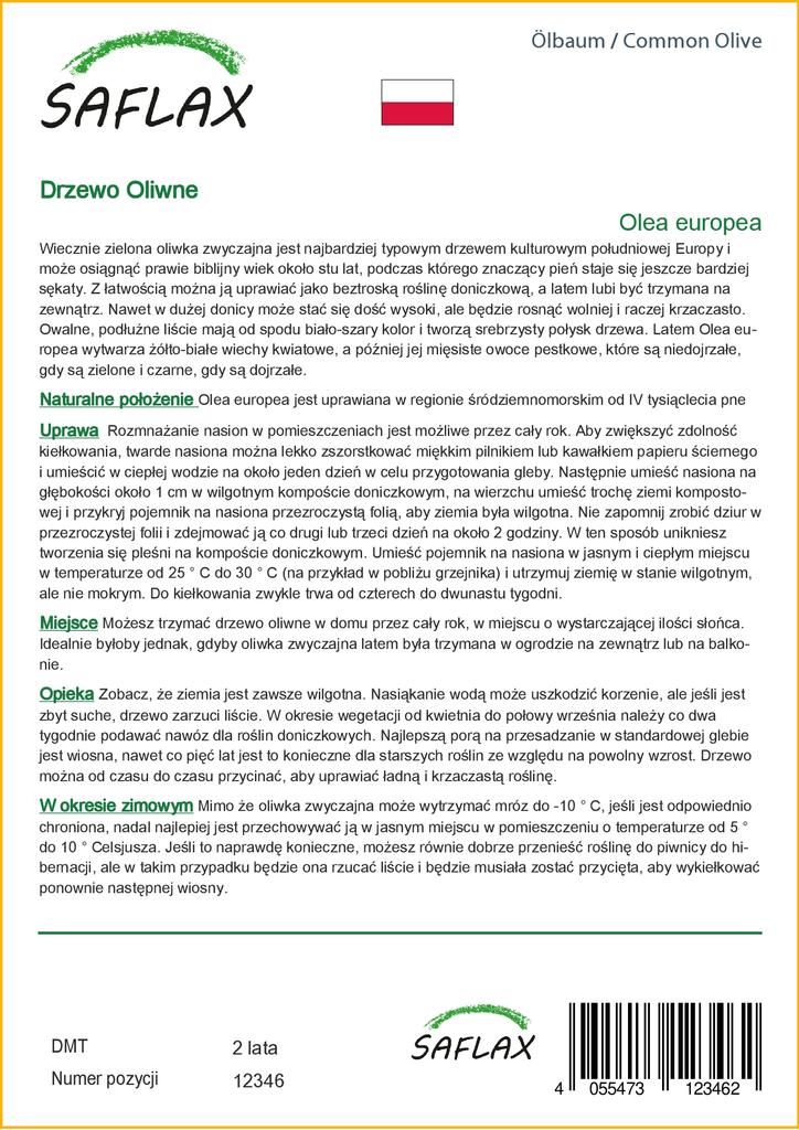 SAFLAX Олива обыкновенная - 20 семян - Olea europea