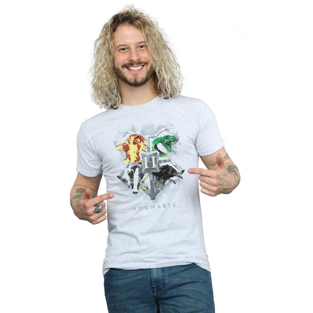 Harry Potter Mens Hogwarts Painted Crest T-Shirt