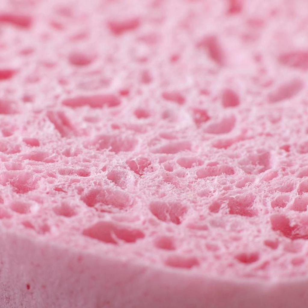 Spontex Hygienic Handy Sponge