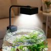 3 Color Modes Fish Tank Clip Lamp Waterproof Plant Grow Light LED Aquarium Light  Marine Aquarium