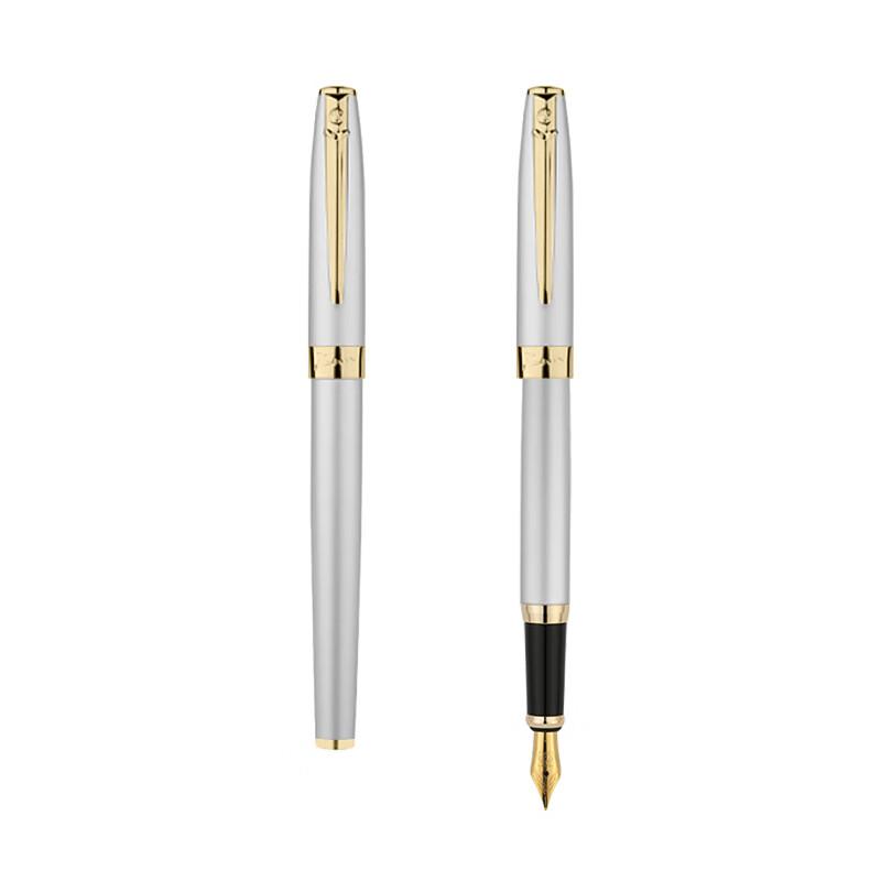 Pimio Fountain Pen, Signature Pen for Men And Women, Calligraphy Pen for Students And Adults, Ink Pen, 0.5mm, 717 Silver Gray