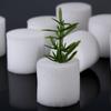 10/50pcs Durable Aquarium Cultivation Soilless Hydroponic  Flower Pots Seed Trays Nursery Sponge