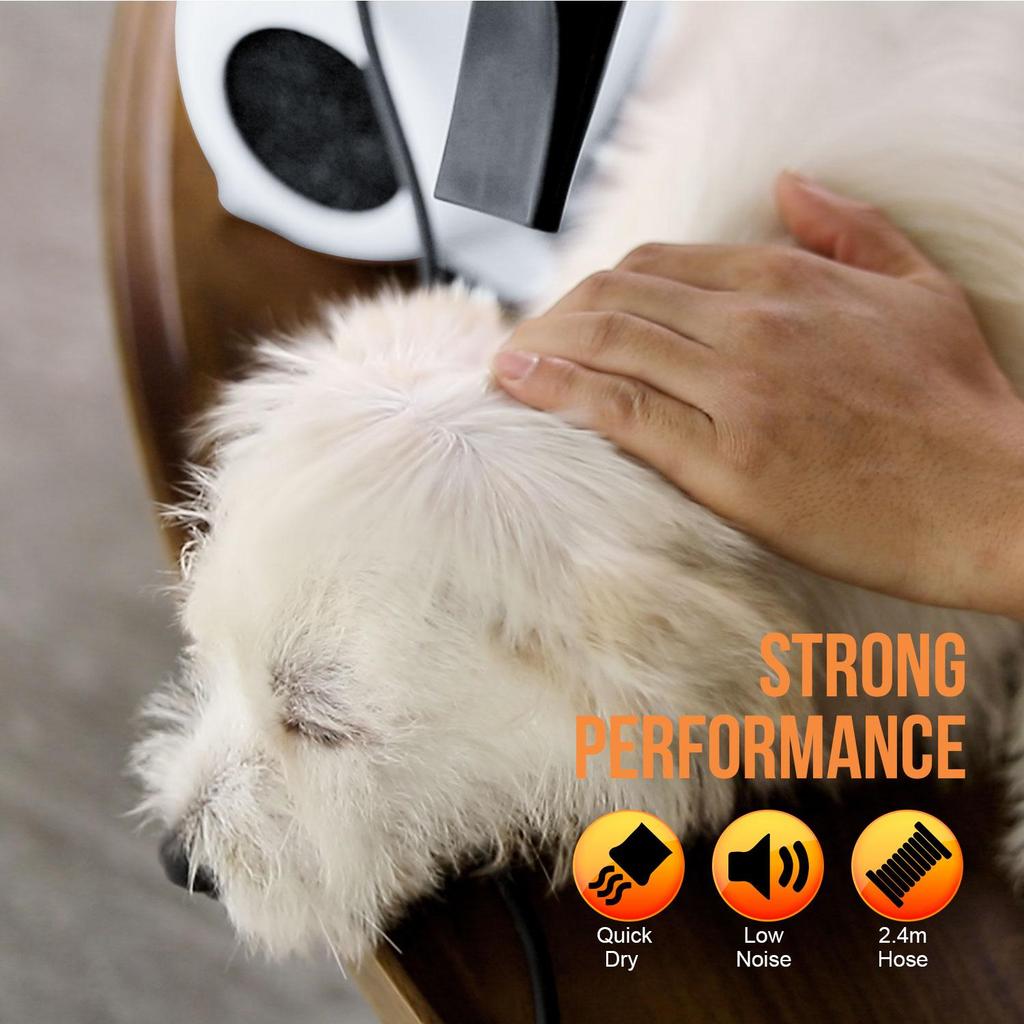 XPOWER B-123 White Commercial Multi-directional Pet Dog Cat Hair Dryer & 3nozzle EU Plug
