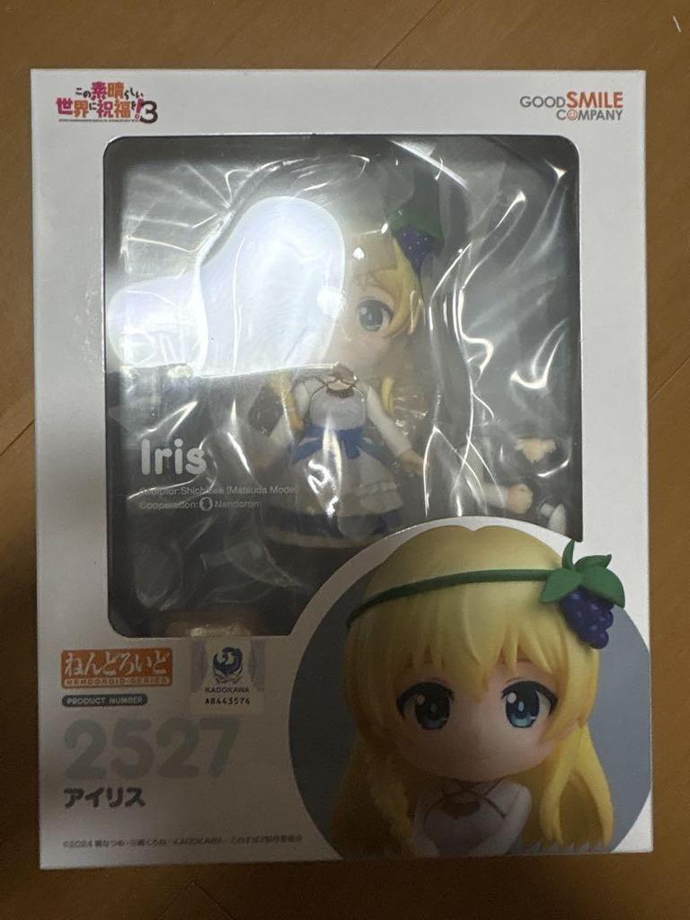[USED] Blessings On This Wonderful World! Nendoroid Iris Eris