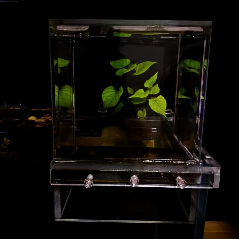 Уникальный аквариум с отрицательным давлением, вакуумный аквариум с подвеской, экологичное творчество