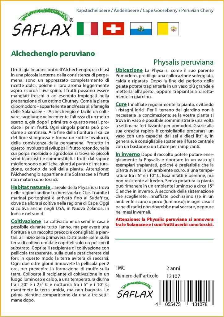 SAFLAX Капский крыжовник / Перуанская вишня - 100 семян - Physalis peruviana